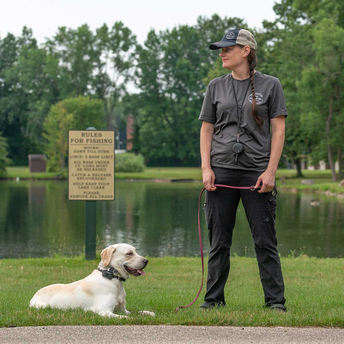 Private Dog Training